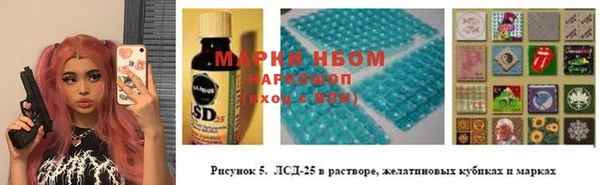 прущий лед Бородино