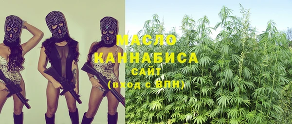 прущий лед Бородино