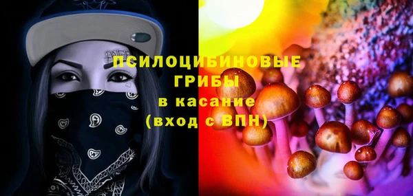 прущий лед Бородино