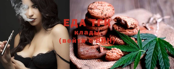 прущий лед Бородино